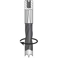 Dowel Drill, Carbide Equipment World