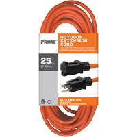 Vinyl Extension Cord, Outdoor, SJTW, 14/3 AWG, 15 A, 25' Equipment World