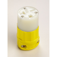 2-Pole 3-Wire Grounding Straight Blade Connector, 5-20P, Nylon Equipment World