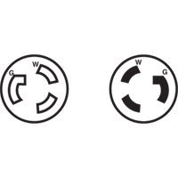 2-Pole 3-Wire Grounding Locking Plug, Nylon, 15 Amps, 250 V, L6-15P Equipment World