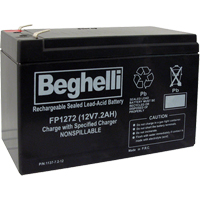 Sealed Lead Acid Batteries, 12 V, 7.2 Ah XB922 | Equipment World