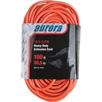 Vinyl Extension Cord, Outdoor, SJTW, 14/3 AWG, 13 A, 100' Equipment World