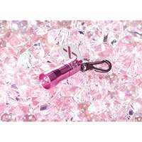 Lampes de poche Nano Light Equipment World