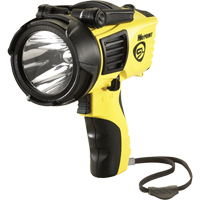 Projecteurs style pistolet Waypoint, DEL, 550 Lumens, Piles C Equipment World