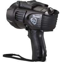 Projecteurs style pistolet Waypoint, DEL, 550 Lumens, Piles C Equipment World