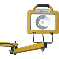 Heavy-Duty Dock Light, 40" Arm, 38 W, LED Lamp, Metal Equipment World
