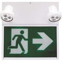 Running Man Exit Sign, LED, Battery Operated/Hardwired, 12" L x 12 1/2" W, Pictogram XE664 | Equipment World