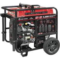 V-Twin Gasoline Generator, 15000 W Surge, 12500 W Rated, 120 V/240 V, 40 L Tank Equipment World
