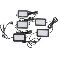 Chaîne de baladeuses DEL, 5 Lumi&egrave;res, 50' lo, Boîtier en Plastique Equipment World