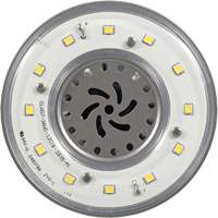 Ultra LED™ High Lumen Lamp, HID, 36 W, 4800 Lumens, Mogul Base XI556 | Equipment World