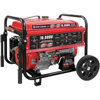 Gasoline Generator with Electric Start, 10000 W Surge, 7500 W Rated, 120 V/240 V, 25 L Tank XI762 | Equipment World