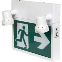 Running Man Sign with Security Lights, LED, Battery Operated/Hardwired, 12-1/10" L x 11" W, Pictogram XI790 | Equipment World