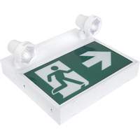 Running Man Sign with Security Lights, LED, Battery Operated/Hardwired, 12-1/10" L x 11" W, Pictogram XI790 | Equipment World