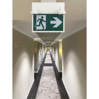Running Man Sign with Security Lights, LED, Battery Operated/Hardwired, 12-1/10" L x 11" W, Pictogram Equipment World