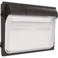 TWX3 Wall Luminaire, LED, 347 V, 14" H x 18" W x 5" D Equipment World