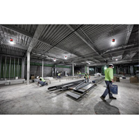 RADIUS Temporary Site Light, LED, 130 W, 15000 Lumens Equipment World