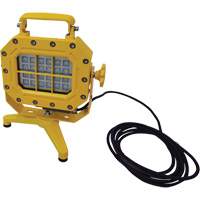 Explosion Proof Floodlight with Stand, LED, 40 W, 5600 Lumens, Aluminum Housing Equipment World