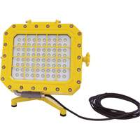 Explosion Proof Floodlight with Floor Stand, LED, 40 W, 5600 Lumens, Aluminum Housing Equipment World