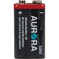 Industrial Alkaline Batteries, 9 V XJ222 | Equipment World