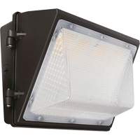 Non-Cutoff Wall Pack, LED, 120 - 277 V, 75 - 110 W, 9.33" H x 6.65" W x 14.5" D Equipment World