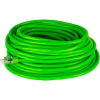 Industrial Extension Cord, All-Weather, SJTW, 10/3 AWG, 15 A, 50' Equipment World