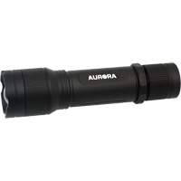 IP67 Flashlight, LED, 2000 Lumens, Rechargeable Batteries Equipment World