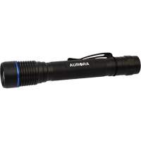 IPX7 Flashlight, LED, 250 Lumens, AA Batteries Equipment World