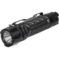 Lampe de poche PolyTac 1X, DEL, 350 lumens, Piles AA/CR123A Equipment World