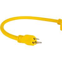 Extension Power Adapter, Outdoor, STOW, 12/3 AWG, 15 A, 3 Outlet(s), 2' Equipment World