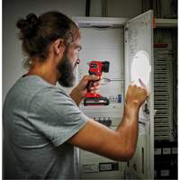 18V Cordless LED Work Light (Tool Only), LED, 280 Lumens, Rechargeable Battery Equipment World