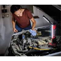 18V Cordless LED Work Light (Tool Only), LED, 1000 Lumens Equipment World