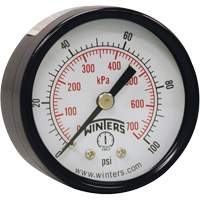 Manomètre économique,  2", 0 - 160 psi, Fixation arrière, Analogique YB870 | Equipment World