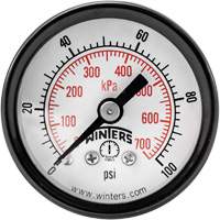 Manomètre économique,  1-1/2", 0 - 100 psi, Fixation arrière, Analogique YB872 | Equipment World