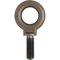 Eye Bolt, 3/4" Dia., 1" L, Uncoated Natural Finish, 650 lbs. (0.325 tons) Capacity YC119 | Equipment World